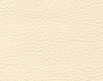 Faux Leather: Cream
