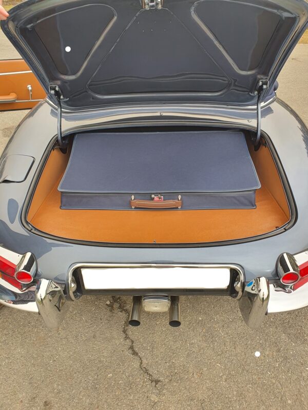 Jaguar E-type Luggage