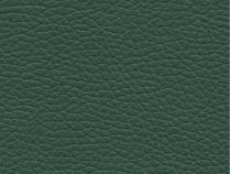 Faux Leather: Dark Green